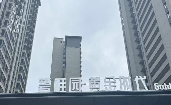 碧桂園黃金時(shí)代陽(yáng)臺(tái)連廊護(hù)欄百葉窗柵欄樓梯扶手案例
